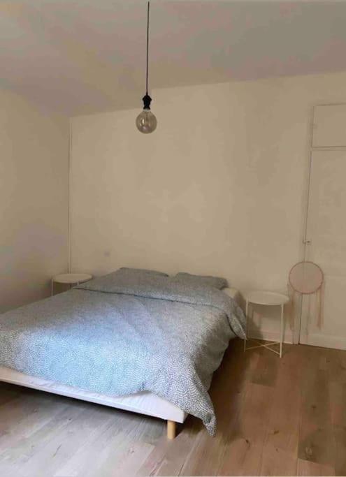 Appartement De Charme Au Coeur Du Centre Ville . Millau Eksteriør billede