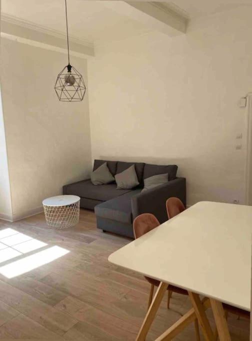 Appartement De Charme Au Coeur Du Centre Ville . Millau Eksteriør billede